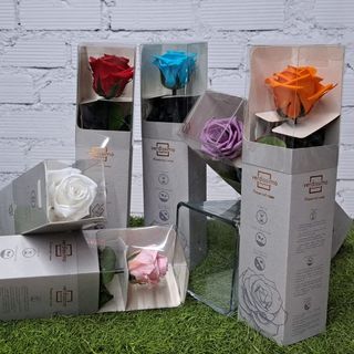 Rosa Preservada Mini