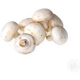 SUPPL. CHAMPIGNONS 