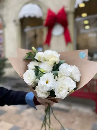 White Eustoma