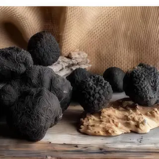 Truffle Noodles
