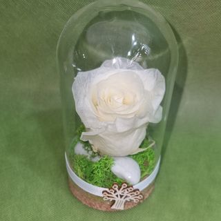 Mini la bella e la bestia 