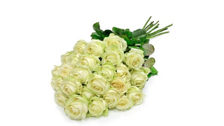 Kwiaty Pierwsza Miłość