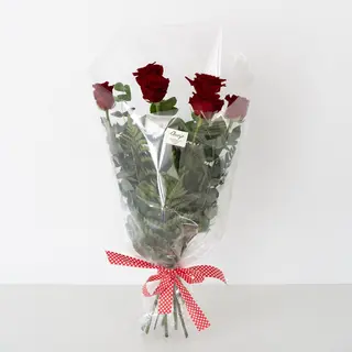 Seis rosas rojas