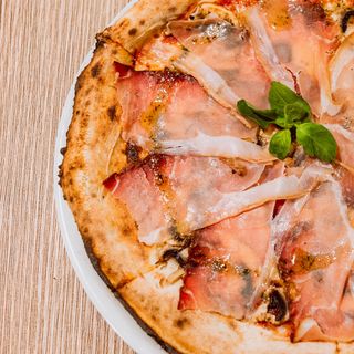 Speck e Fungi Bosque hechizado