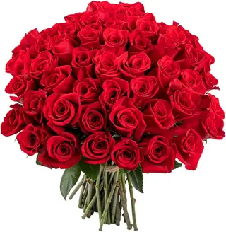 35 rose rosse