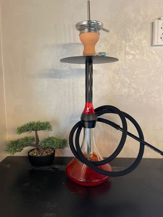 Shisha Black Caro Red