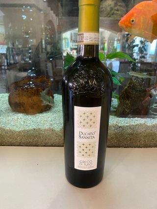 Greco di tufo DUCATO SANNITA DOCG 12.5% vol 75 cl