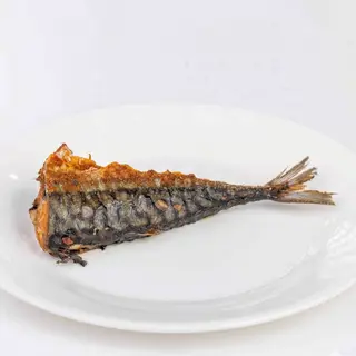 Titus Fish