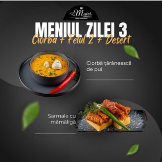 OFERTA MANCARE GATITA 3