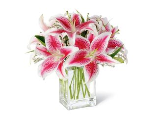 3 Лилиума, розови | 1 pieces