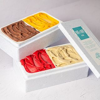 Bloque de Helado 1000mL