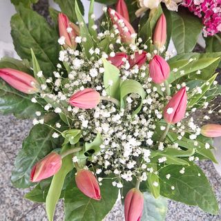 Bouquet tulipani 