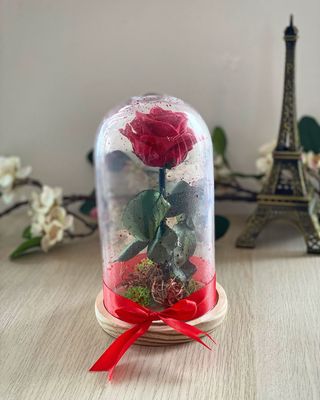 Trandafir Criogenat Rosu