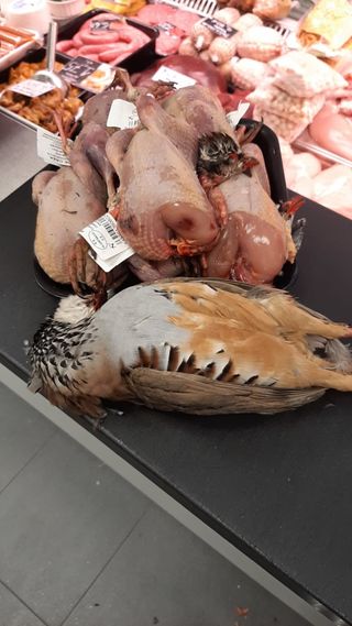 Perdiz de campo ( pelada y limpia)