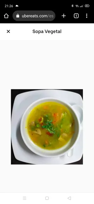 Vegetable Soup