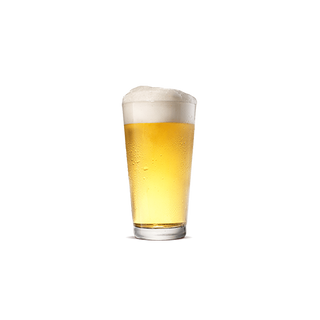 Pivo
