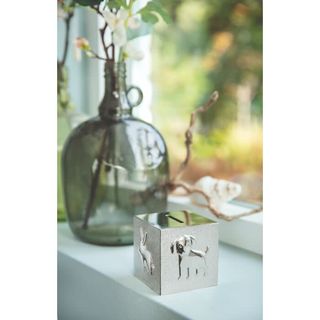 Pusculita cub animale