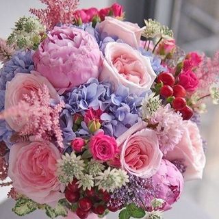 Ortensie, rose, peonie