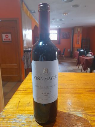 Vino Tinto Viña Mayor Crianza