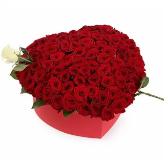 101 rose