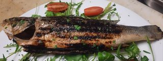 Branzino od orata alla griglia