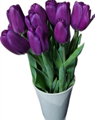 იასამნისფერი ტიტების თაიგული