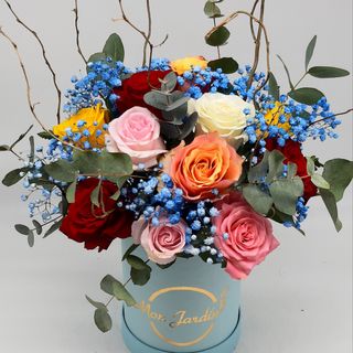 Cutie  Mon Jardin (S)  albastra cu 11 trandafiri colorati