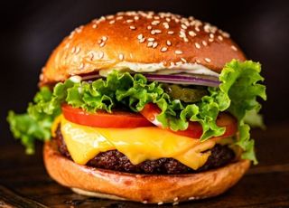 Бургер Слім (270г)