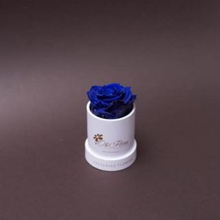 Trandafir criogenat albastru în mini-cutie albă