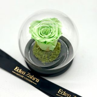 Rose Éternelle Vert Eau