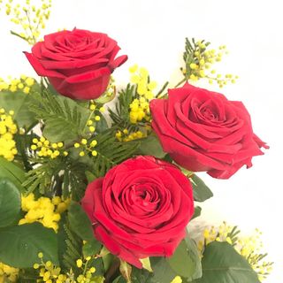 12 Rose Rosse 80cm con mimosa