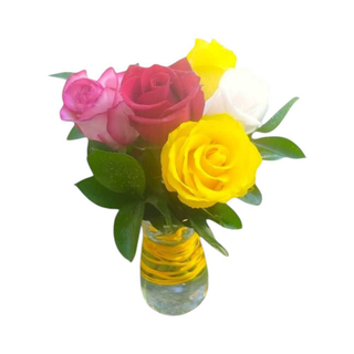 Jarra de Vidro com Rosas