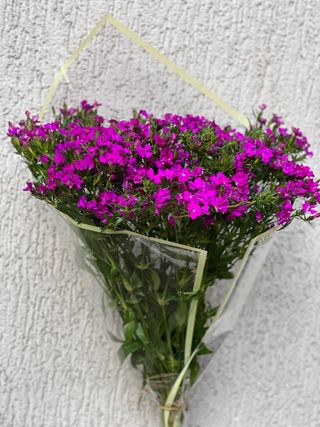 ვარდისფერი თაიგული