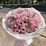 Рожева хмаринка