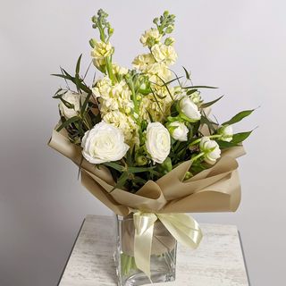 მატიოლა და რანუნკულუსი 2196