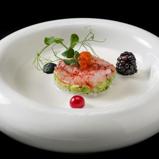 808. Tartare amaebi