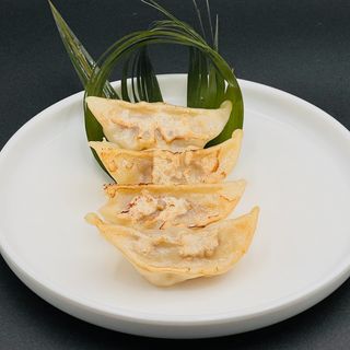 GYOZA TORRY ALLA GRIGLIA  5PZ