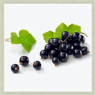 Чай смородиновий (350мл)