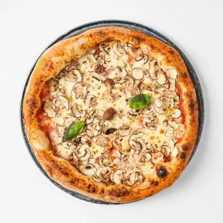 Pizza Funghi