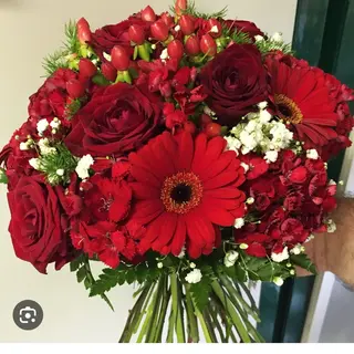 Red with red