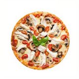 Pizza Chicken Sénior