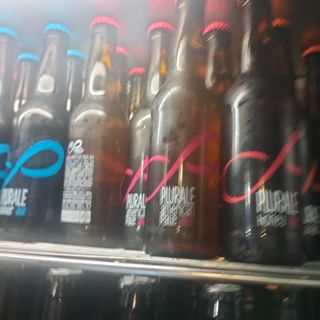 Plurale honey Ale