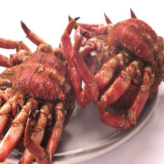 Centollo De O'grove (pieza)