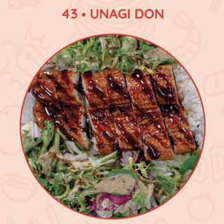 Unagi Don