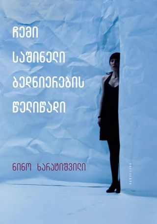 ჩემი საშინელი ბედნიერების წელიწადი - ნინო ხარატიშვილი