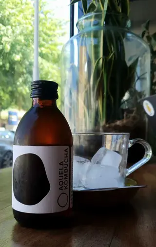 Kombucha