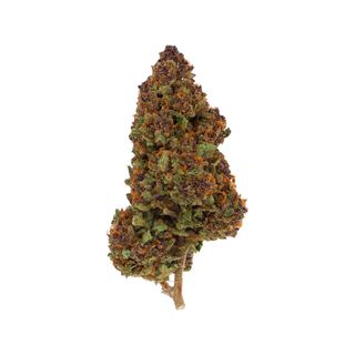 Flores CBD Big Buds - Purple Haze (10g)