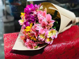 ფერადი ასტრომერიის თაიგული