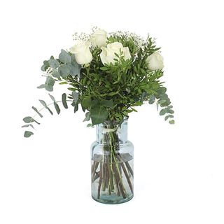 Media Docena Maras. Rosas Blancas