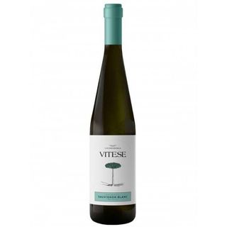 Colomba Bianca Vitese Sauvignon Blanc D.O.C.